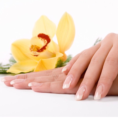 NAIL CARE LOUNGE - Additional Services